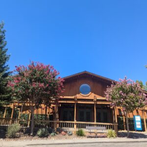 Spring Tuition