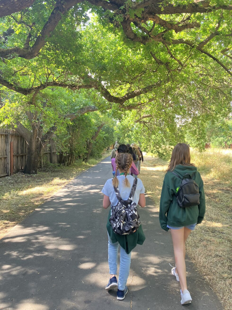 Home - The Springstone School | Lafayette, CA