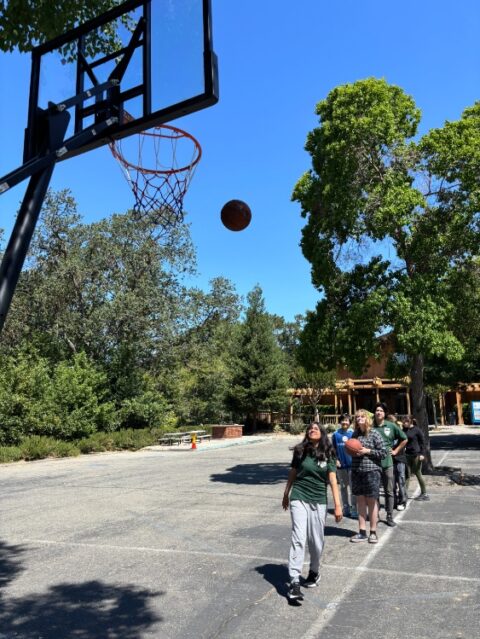 Home - The Springstone School | Lafayette, CA